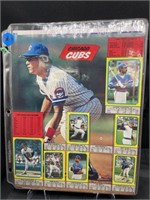 2 SHEETS OF CHICAGO CUBS STICKERS/CARDS