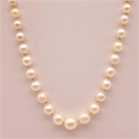 Pearls w/ 10K Gold Clasp