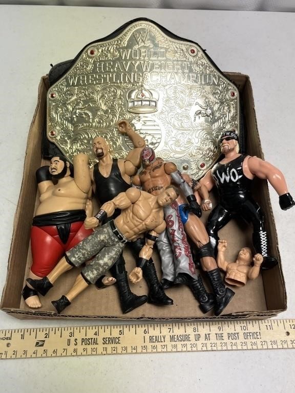 WWE Wrestling Action Figures & Toy Championship Be