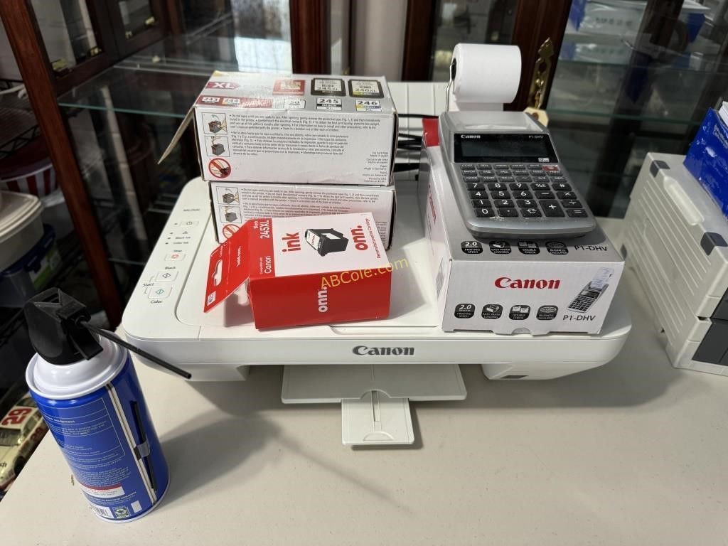 Canon MG 2520 printer with printer ink