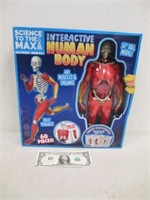 Sealed Interactive Human Body in Box