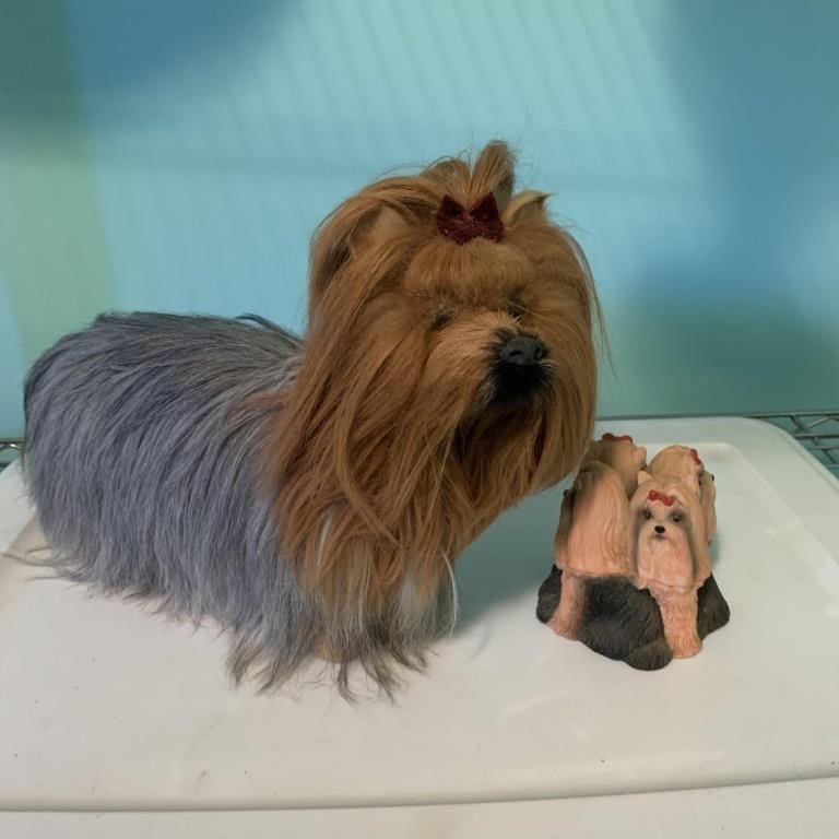 Realistic Yorkshire terrier Figure & Trinket Box