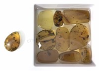 (100+) Fossil Inserts In Burmite Amber