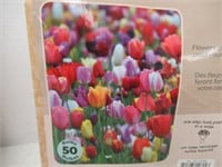 50-Pc Tasc Tulipa Triumph Assorted Bulbs