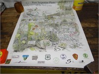 US Forest Service Education Poster