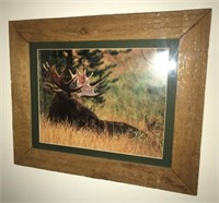 Rough Cut Farmhouse Framed Moose Photo