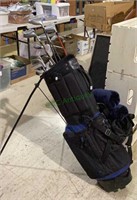 Platinum golf bag with an assortment of golf