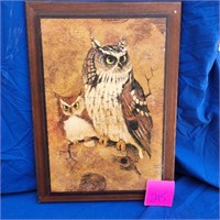 Owl picture