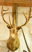 Caribou Mount in Boone & Crocket Book