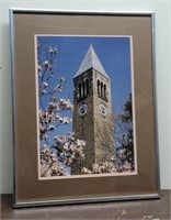 Ithaca - Magnolias McGraw Tower by Jim Birch -
