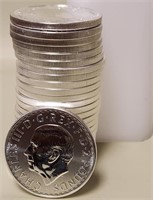 S - LOT OF  25 COINS 1 OZ FINE SILVER EACH (S46)