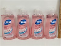New 4 Pack Dial Himalayan Salt Hand Soap