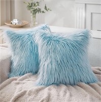 FM1536 Throw Decorative Pillow 2pk