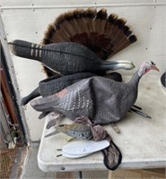 Lot of Turkey Decoys