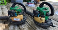 2 Gas Powered Blowers