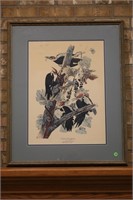 PLEATED WOODPECKER FRAMED & MATTED PRINT 26 X 32