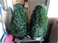 Lot (3) Christmas Trees - Lighted/Electric