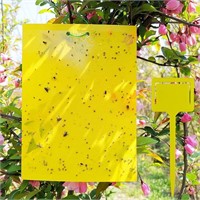 Yellow Sticky Traps, 8x6 Inch, Dual-Sided, 20