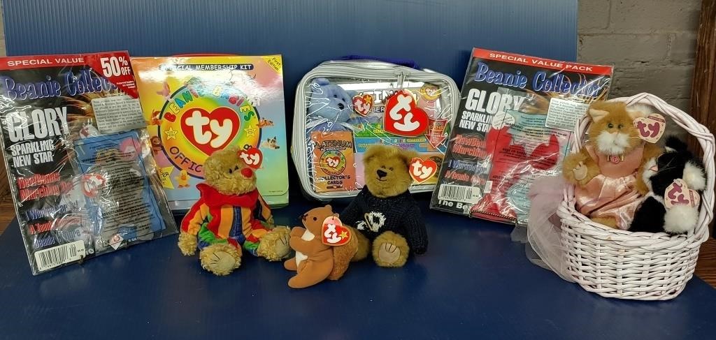 Beanie Baby Collectors Lot.