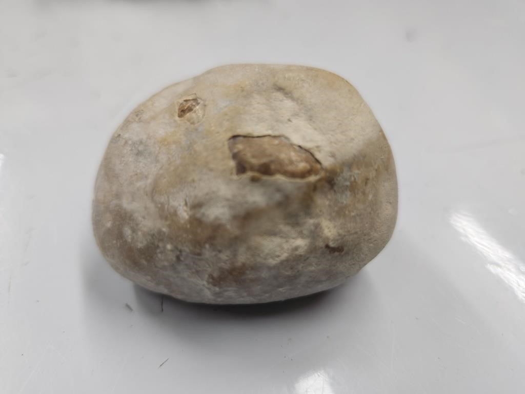 Stone? Box was labeled from Middle East