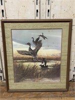 Duck Scene by R.J. McDonald 1151/1250