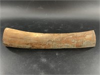 Portion of a mammoth tusk, the outer layer is stil