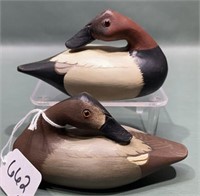 PR DICK & LINDA ROBINSON MINI SLEEPING CANVASBACKS