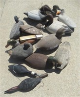Wood Duck Decoys Including Some with Glass Eyes.