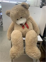 Big Teddy Bear