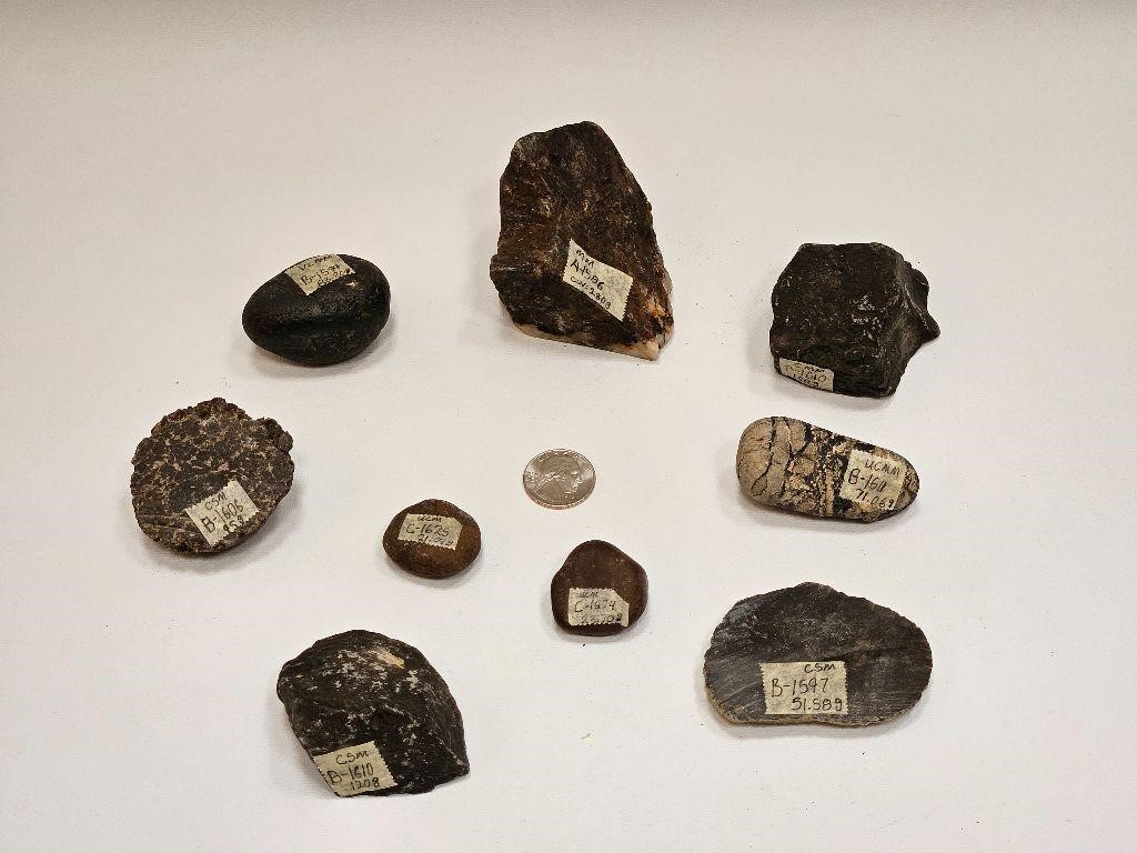 ROCKS FOSSILS MINERALS AND TOOL AUCTION