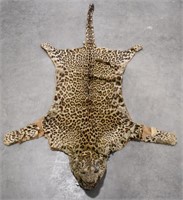 Vintage African Leopard Taxidermy Rug