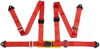 4 Point Snap-In 2 Seat Belt Harness