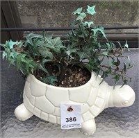 turtle porcelain planter with artifical greenery