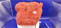 Ethically Harvested Red Organ pipe coral