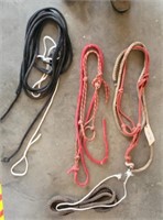 Halters, Lead Ropes, & Bosal Rope