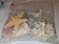 Bag of assorted seashells