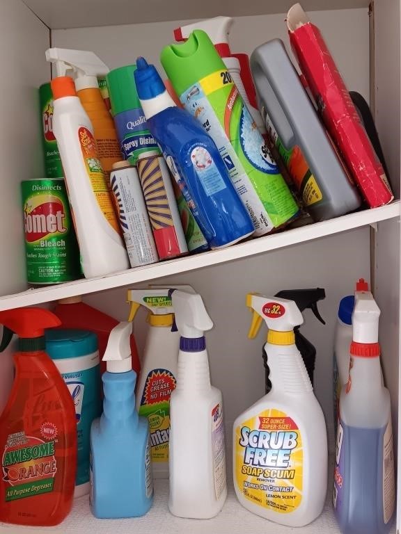 All cleaners in the cabinet.