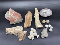 Jasper, Geode, Petrified Wood, Coral, Flint, etc.