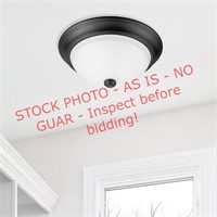 Brand?2-Light 13-in Matte Black Flush Mount Light