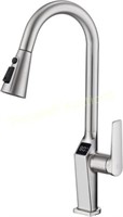 Pirooso Kitchen Faucet with Pull Out Sprayer