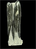 ORTHOCERAS TOWER FOSSIL