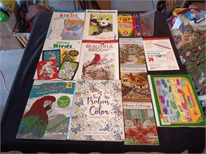 Large Offering Of Coloring Books And Pencils.