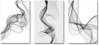 P442  K061303 Abstract Line Wall Art, 16x24inch x3