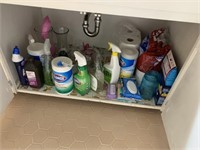 Chemicals, etc under Bathroom Sink