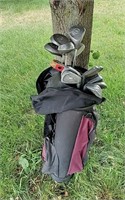 17 Golf Clubs with bag