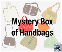 Mystery Box of Handbags