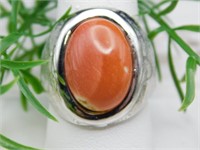 POLYCHROME JASPER RING ROCK STONE LAPIDARY SPECIME