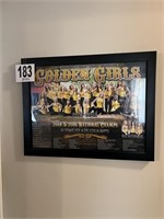 Hendersonville High School Golden Girls 2011-2012