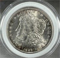 1896 Silver Morgan Dollar MS