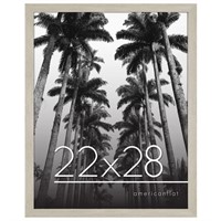 Americanflat 22x28 Poster Frame in Grey - Photo